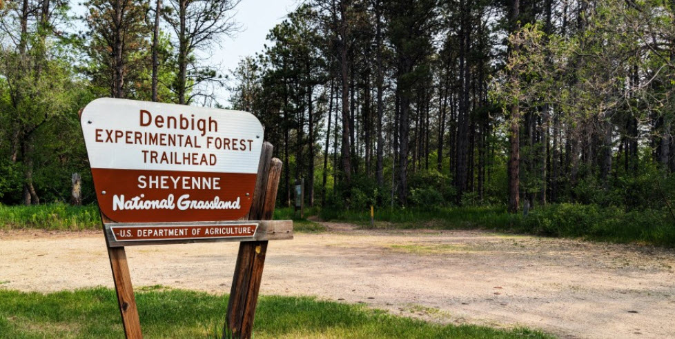 Denbigh Experimental Forest, United States